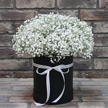 Цветочная композиция из Гипсофила в шляпной коробке #REPLACE_PRED# Туринске